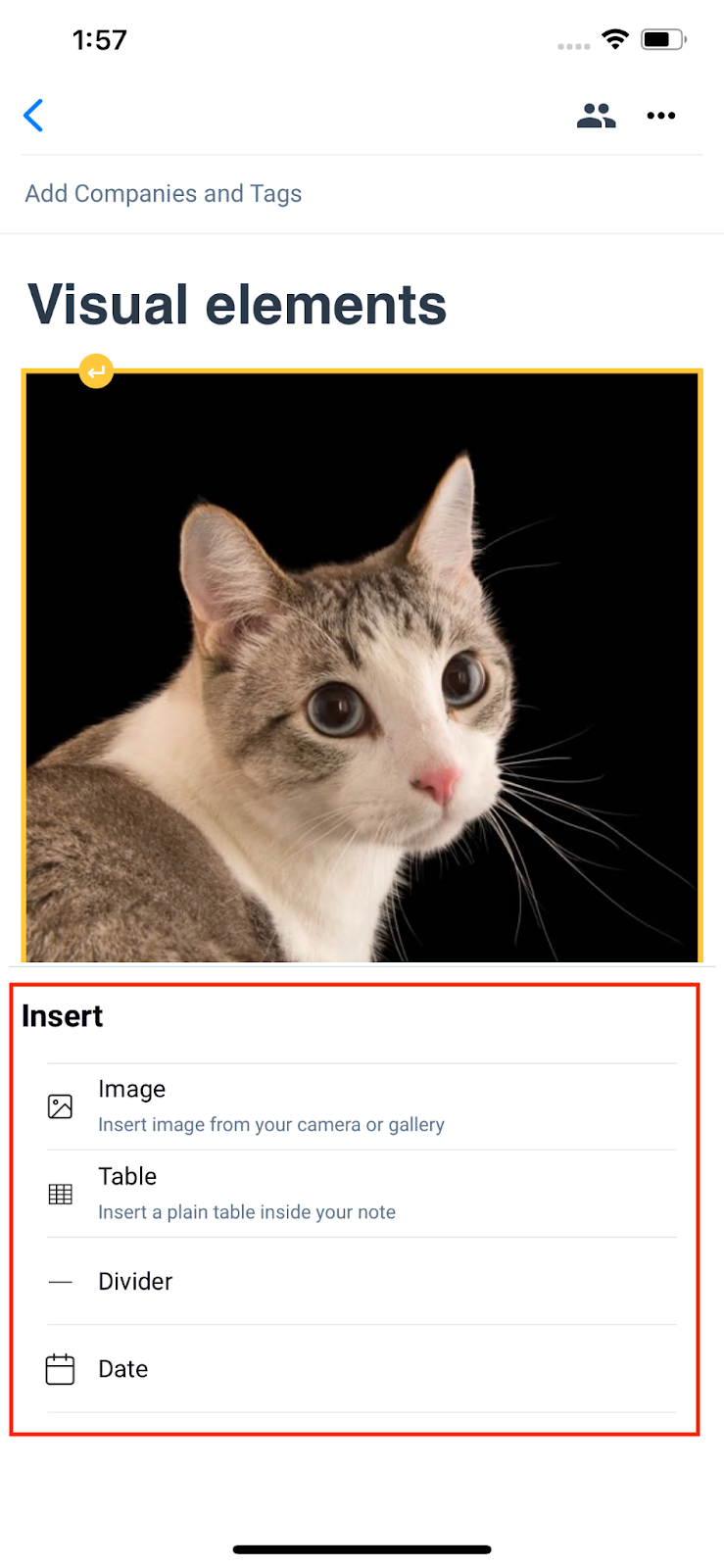 7.png